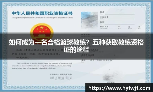 如何成为一名合格篮球教练？五种获取教练资格证的途径
